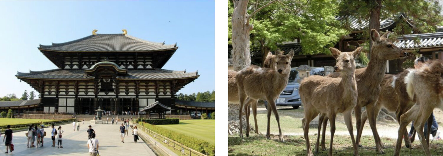 地域ブランディング_奈良市