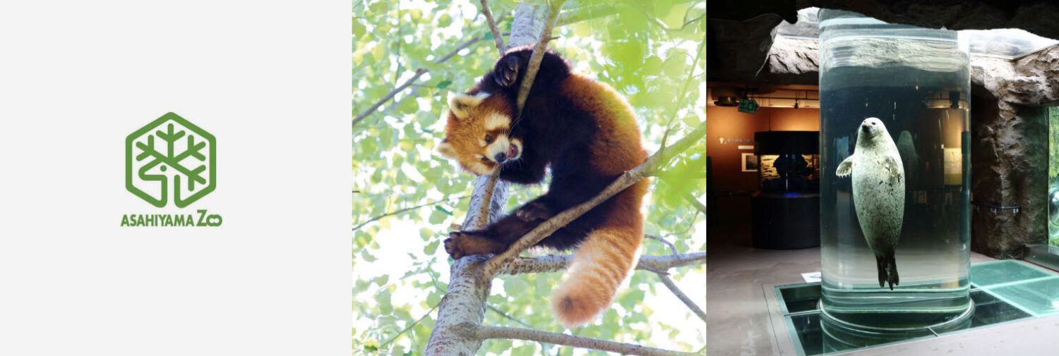 旭山動物園 _北海道旭川市