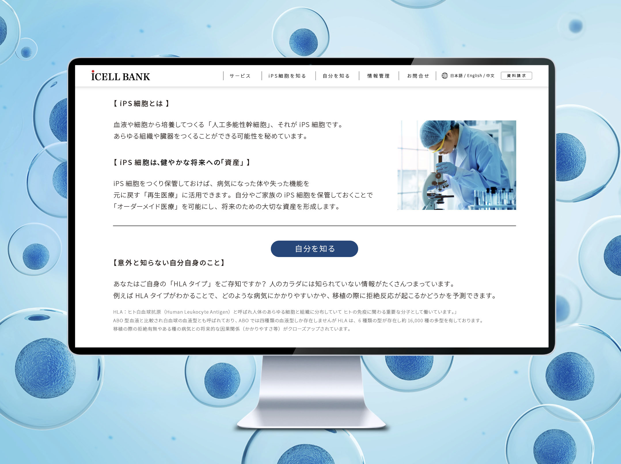 icellbank_web_3