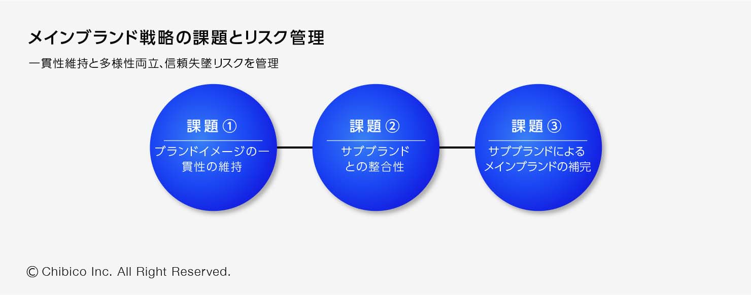 メインブランド戦略の課題とリスク管理