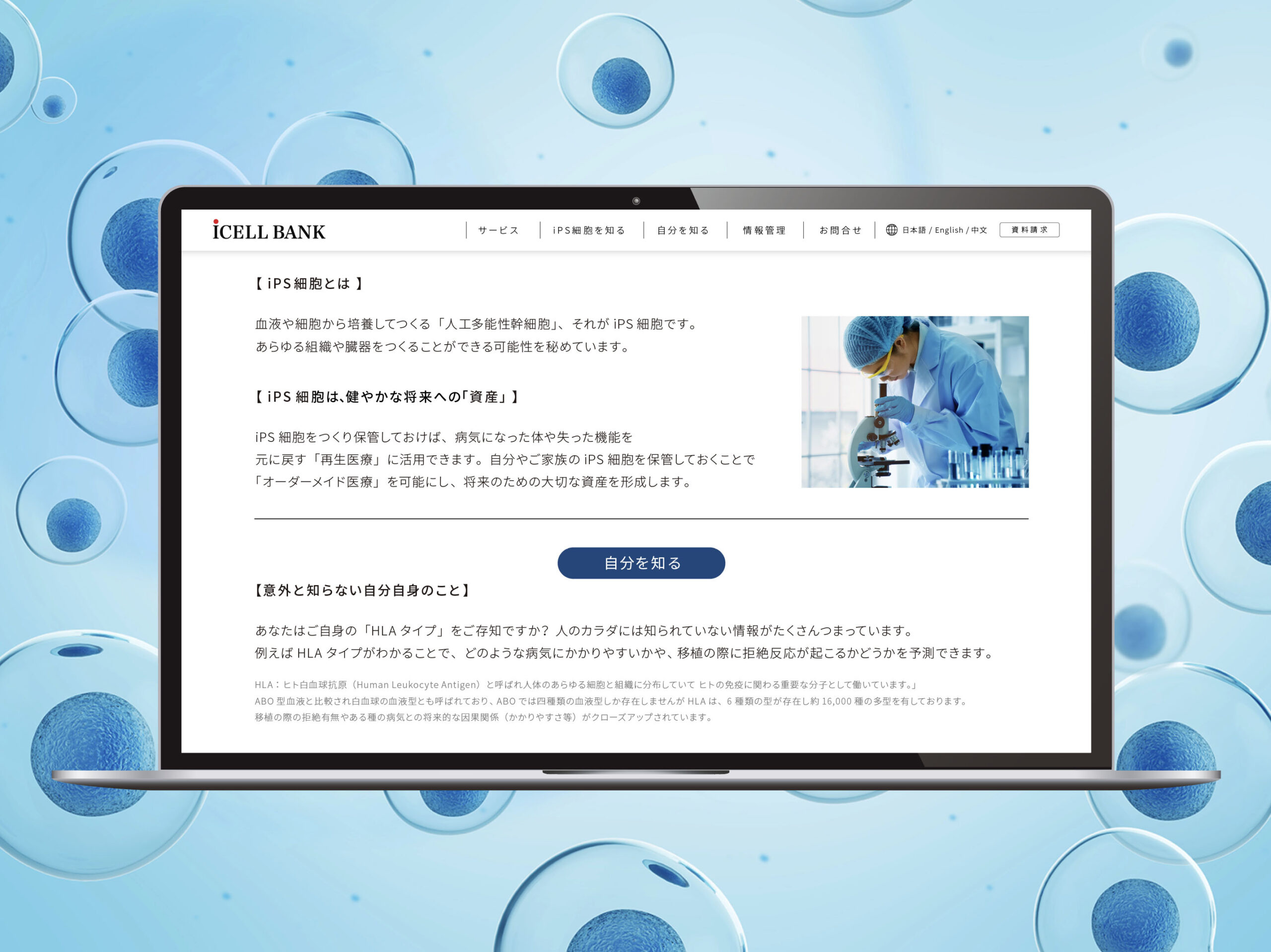 iCELL BANKのWEBデザインKNOW